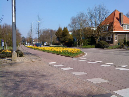 Daffodils outside the church in Bennebroek, Netherlands Daffodils outside the church in Bennebroek, Netherlands