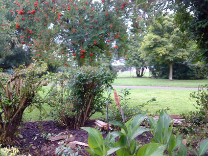 No fence, view to Fielding Walk in Ealing London