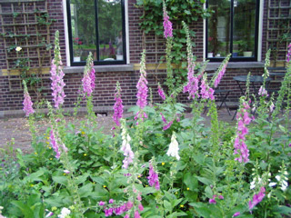 Front garden of Monument House in Utrecht