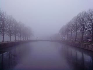 Symmetric canal between linden trees in winter